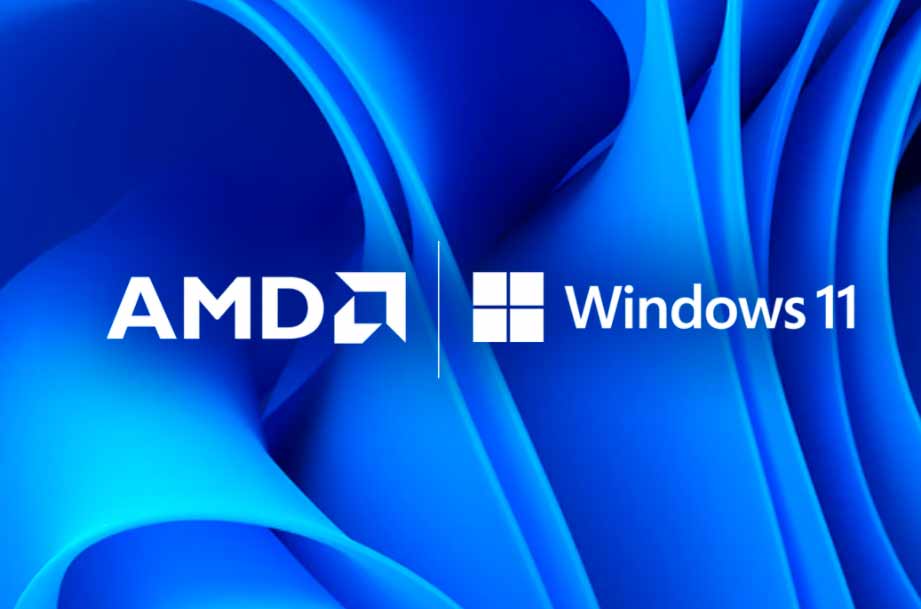 Problemas entre AMD y Windows 11